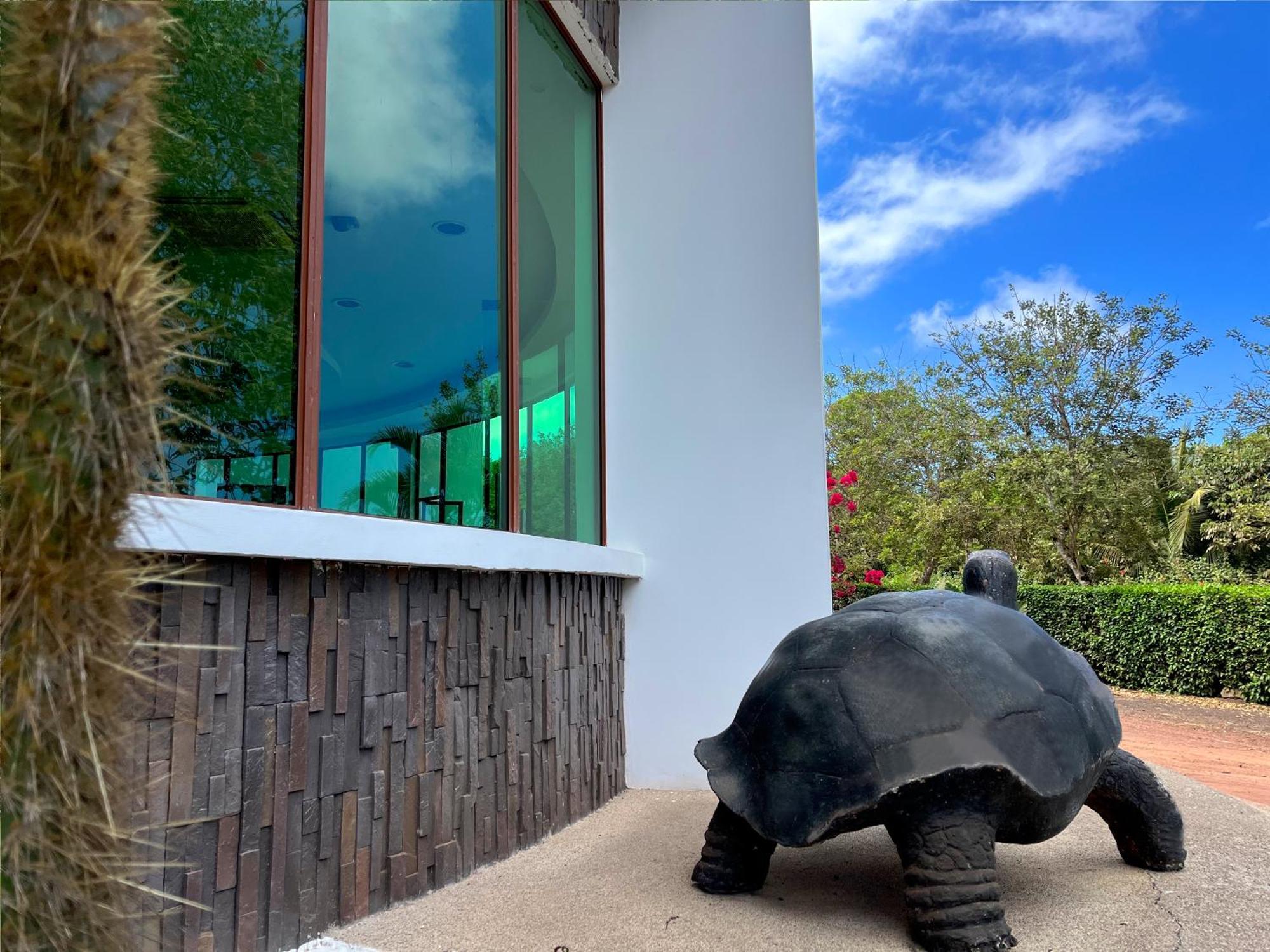 Hotel Tortuga Bay - Galapagos Puerto Ayora  Exteriör bild